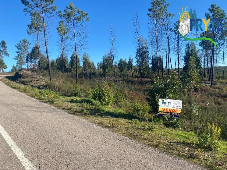 Terreno para Venda em Sertã Foto 9