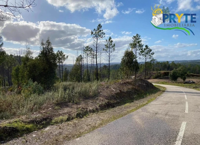 Terreno para Venda em Sertã Foto 1