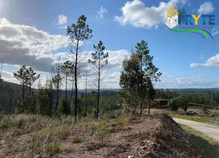 Terreno para Venda em Sertã Foto 3