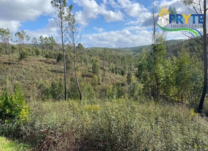 Terreno para Venda em Sertã Foto 8