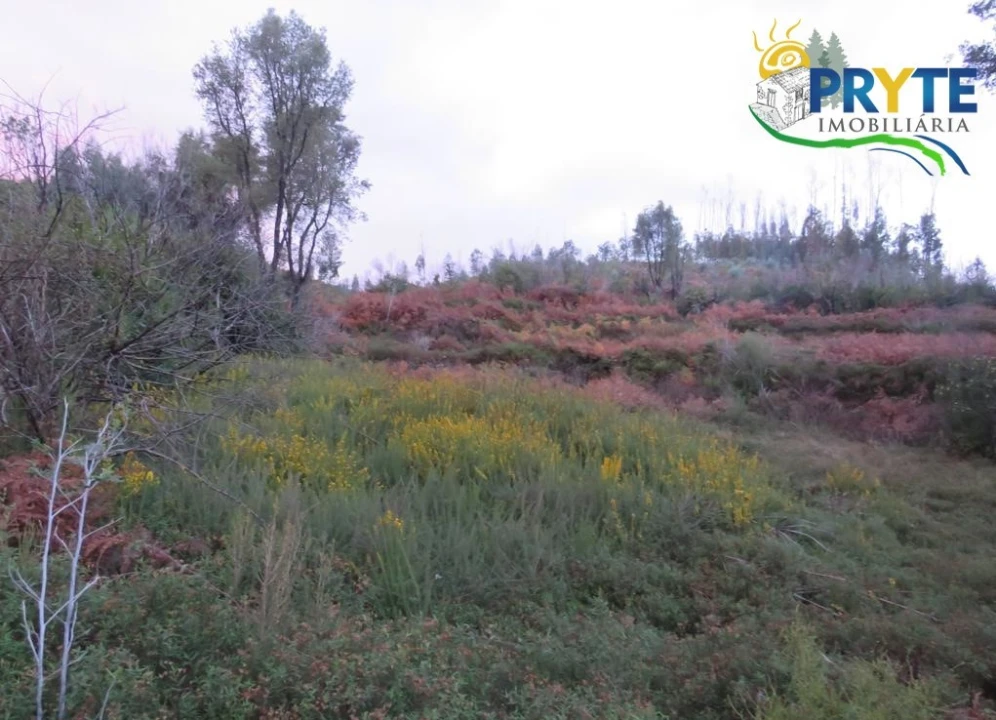 Terreno para Venda em Sertã Foto 2