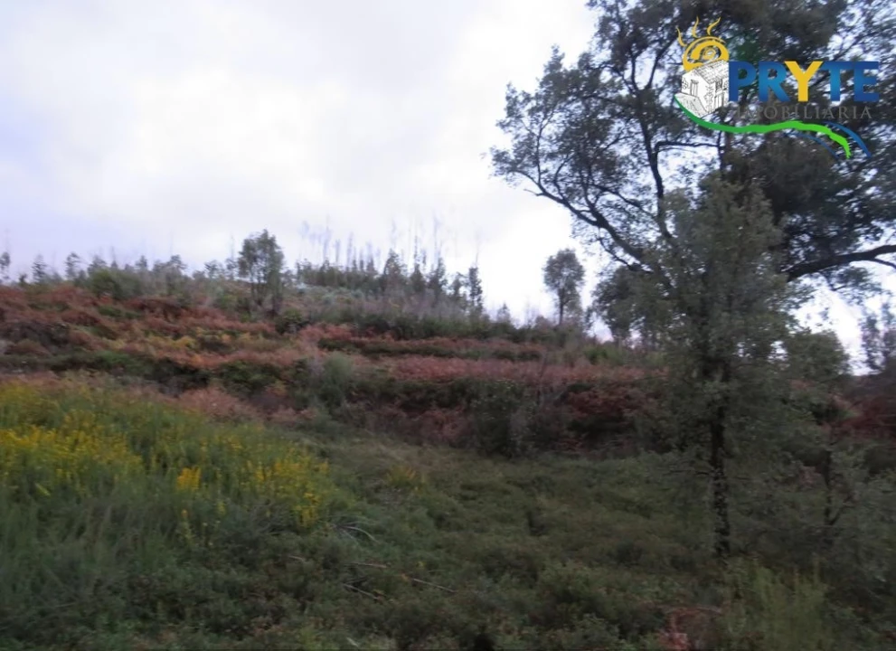 Terreno para Venda em Sertã Foto 3