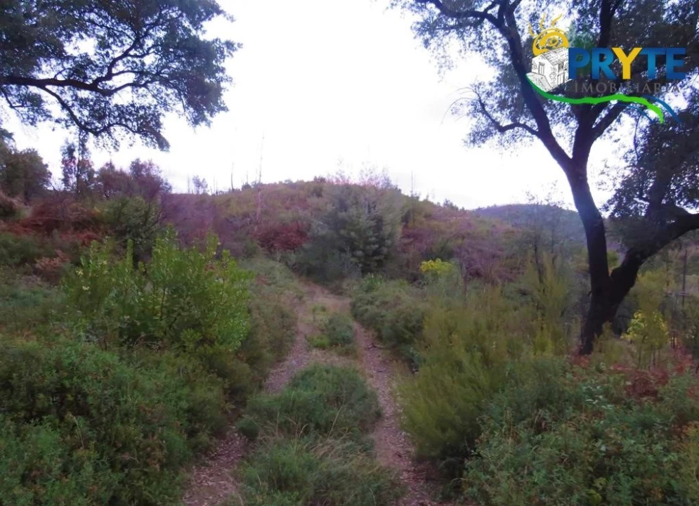 Terreno para Venda em Sertã Foto 6