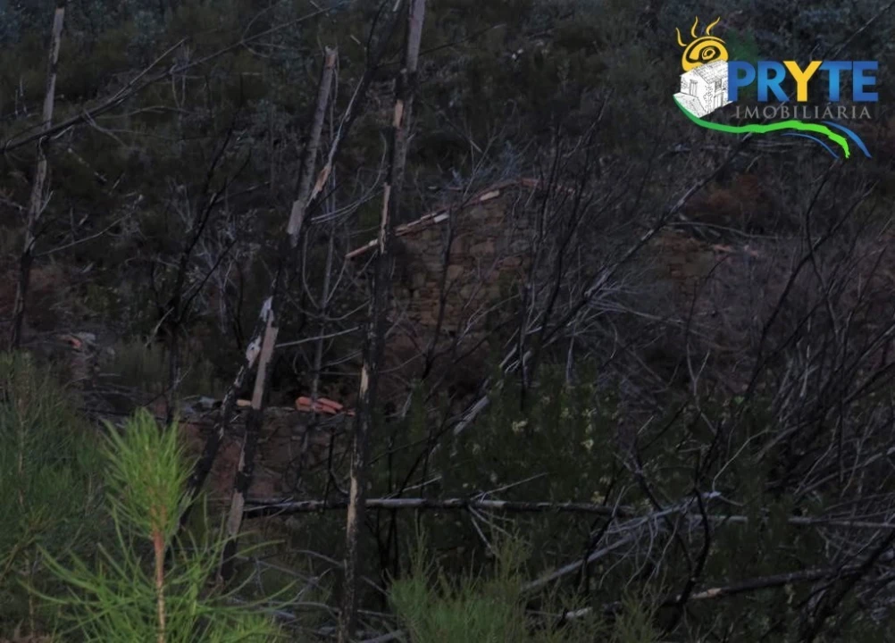 Terreno para Venda em Sertã Foto 8