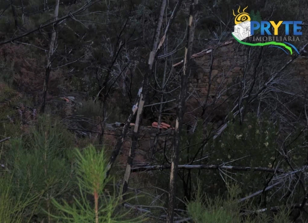 Terreno para Venda em Sertã Foto 11