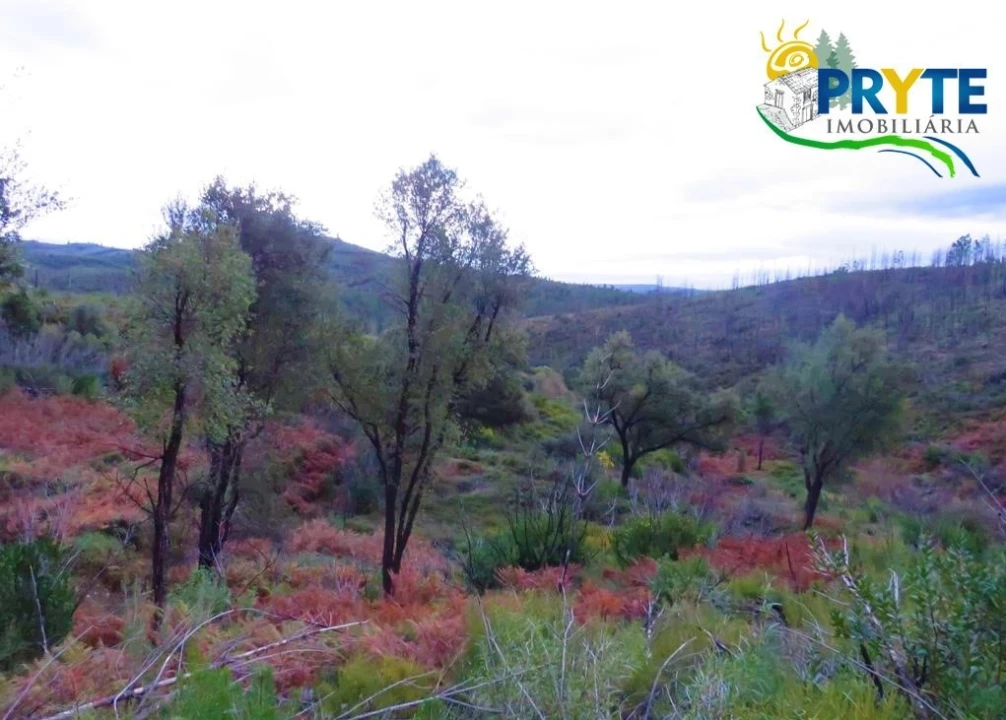 Terreno para Venda em Sertã Foto 12