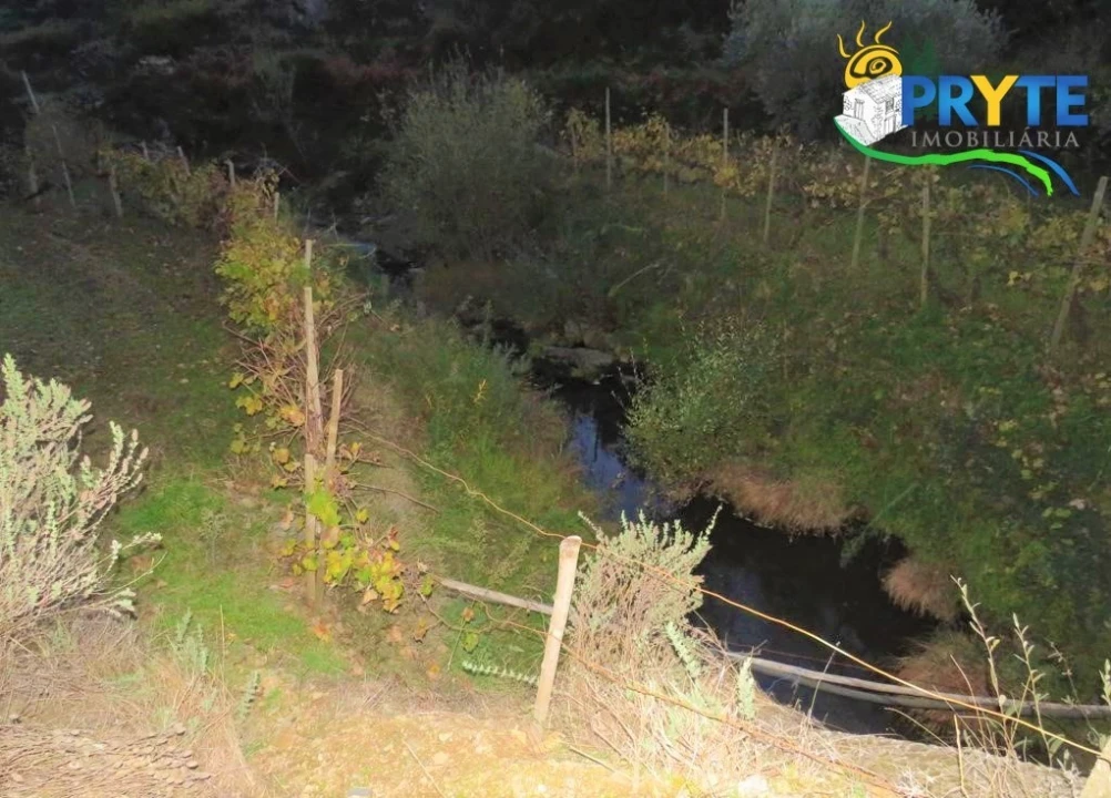 Terreno para Venda em Sertã Foto 13