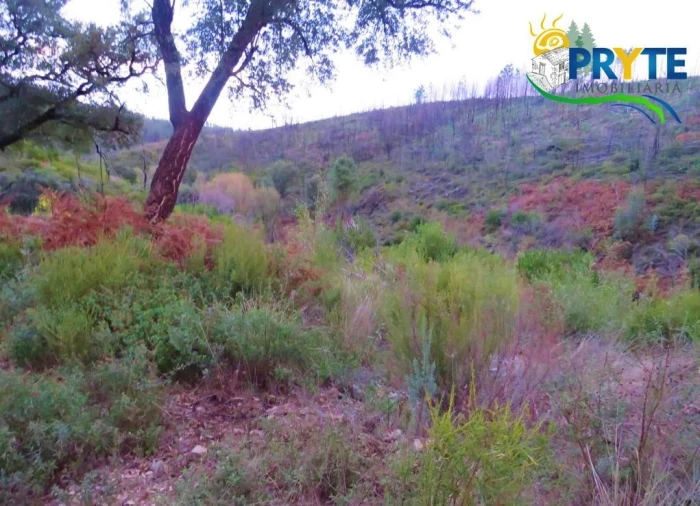 Terreno para Venda em Sertã Foto 1