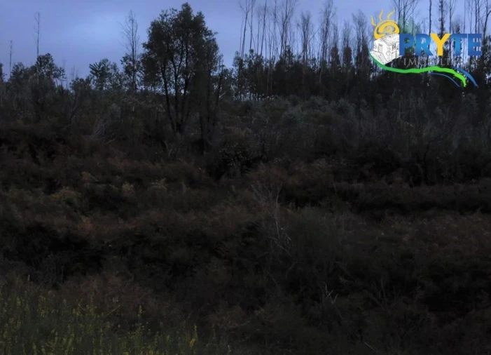 Terreno para Venda em Sertã Foto 4