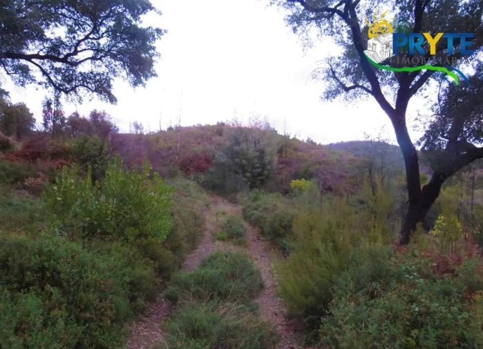 Terreno para Venda em Sertã Foto 6
