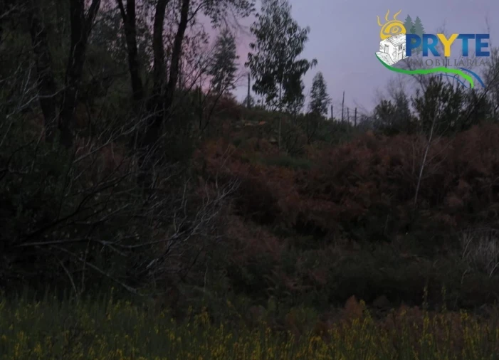 Terreno para Venda em Sertã Foto 7