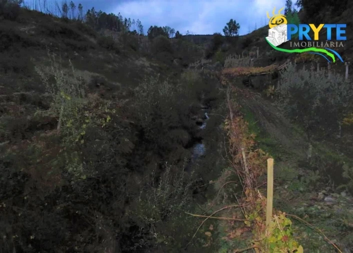 Terreno para Venda em Sertã Foto 14