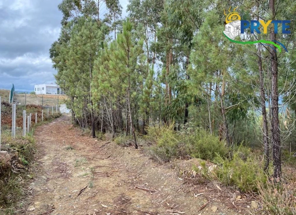 Terreno para Venda em Sertã Foto 1