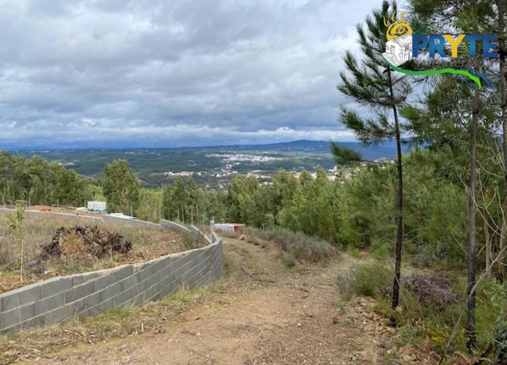 Terreno para Venda em Sertã Foto 3