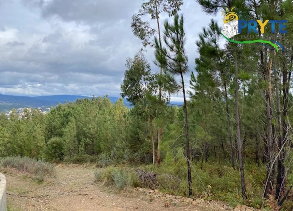 Terreno para Venda em Sertã Foto 7
