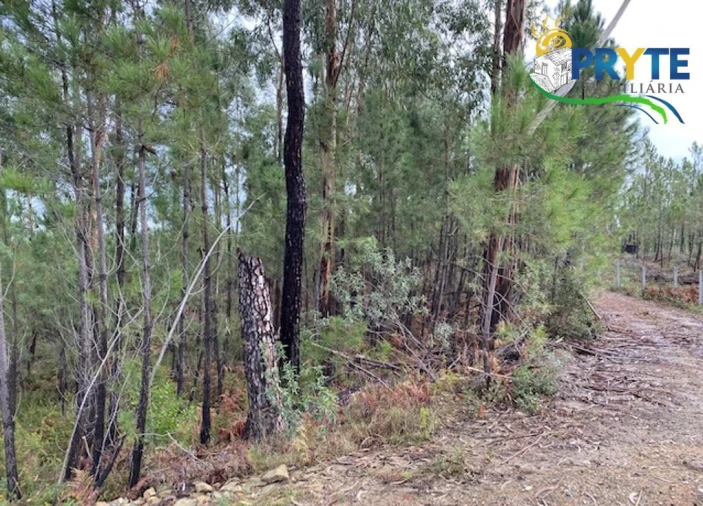 Terreno para Venda em Sertã Foto 6