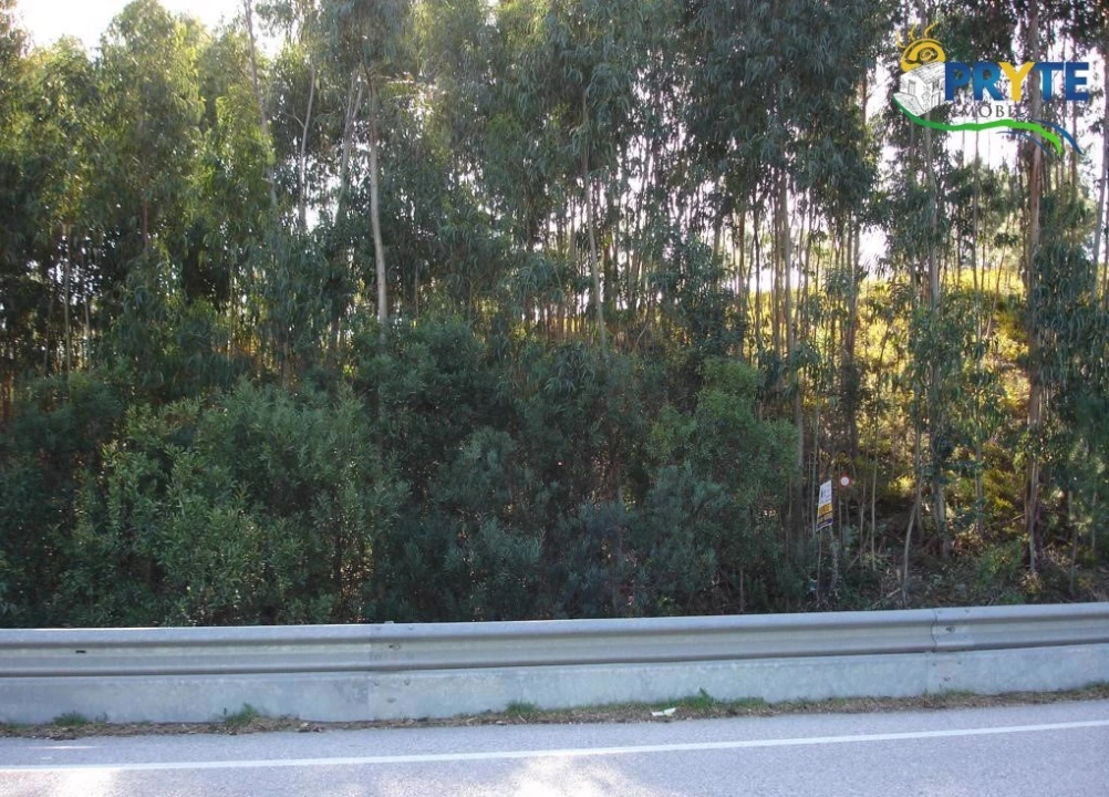 Terreno para Venda em Sertã Foto 3