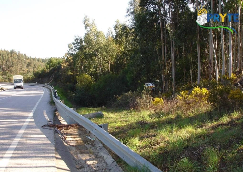 Terreno para Venda em Sertã Foto 1