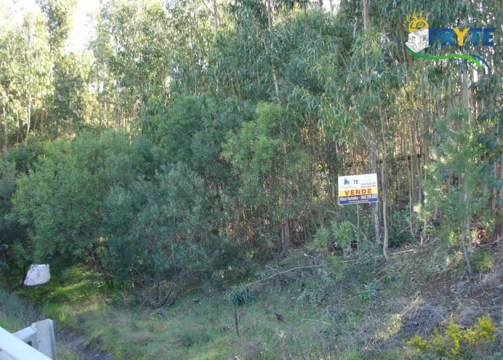 Terreno para Venda em Sertã Foto 2