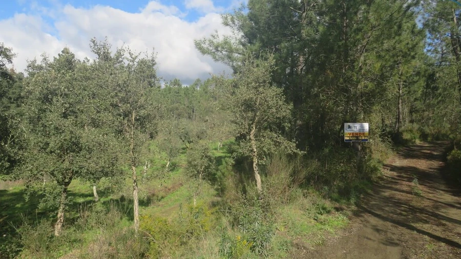 Terreno para Venda em Cumeada e Marmeleiro