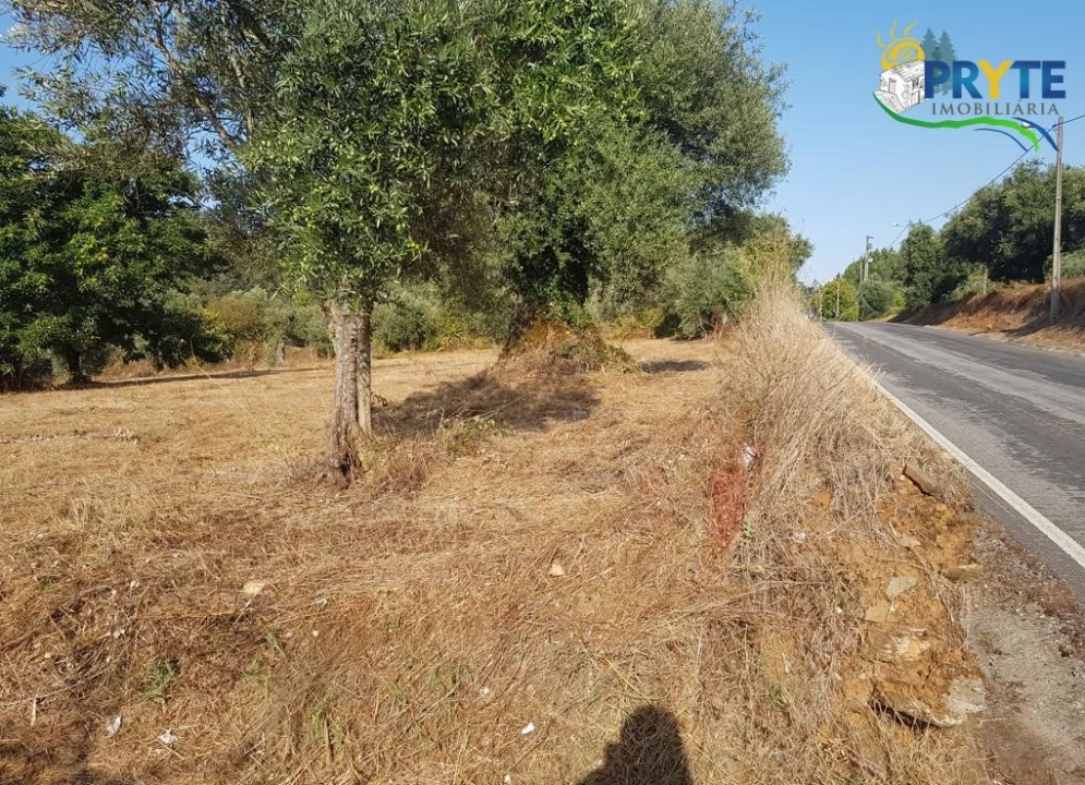 Terreno para Venda em Sertã Foto 1