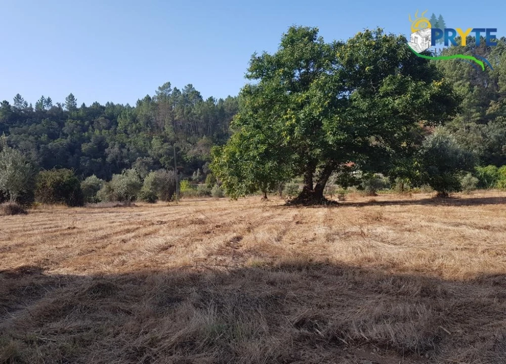 Terreno para Venda em Sertã Foto 3
