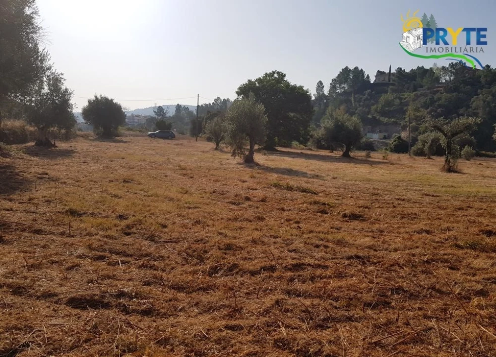 Terreno para Venda em Sertã Foto 5