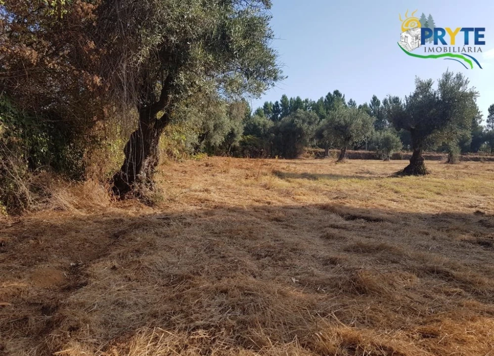 Terreno para Venda em Sertã Foto 7