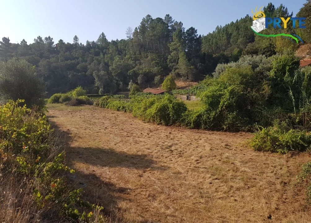 Terreno para Venda em Sertã Foto 10