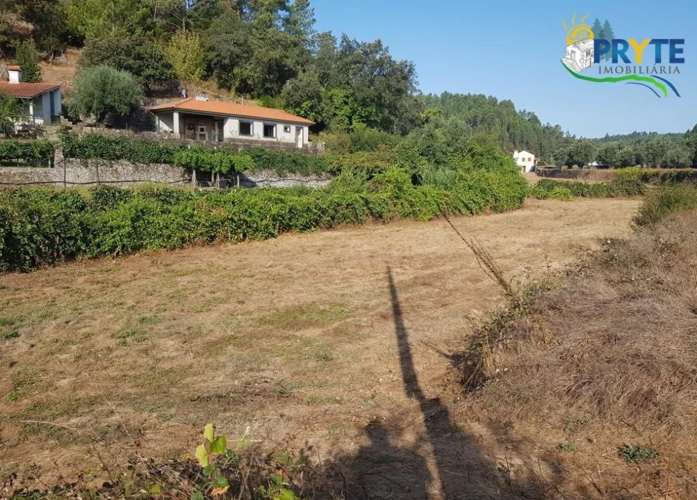 Terreno para Venda em Sertã Foto 12