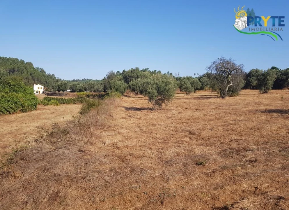Terreno para Venda em Sertã Foto 14