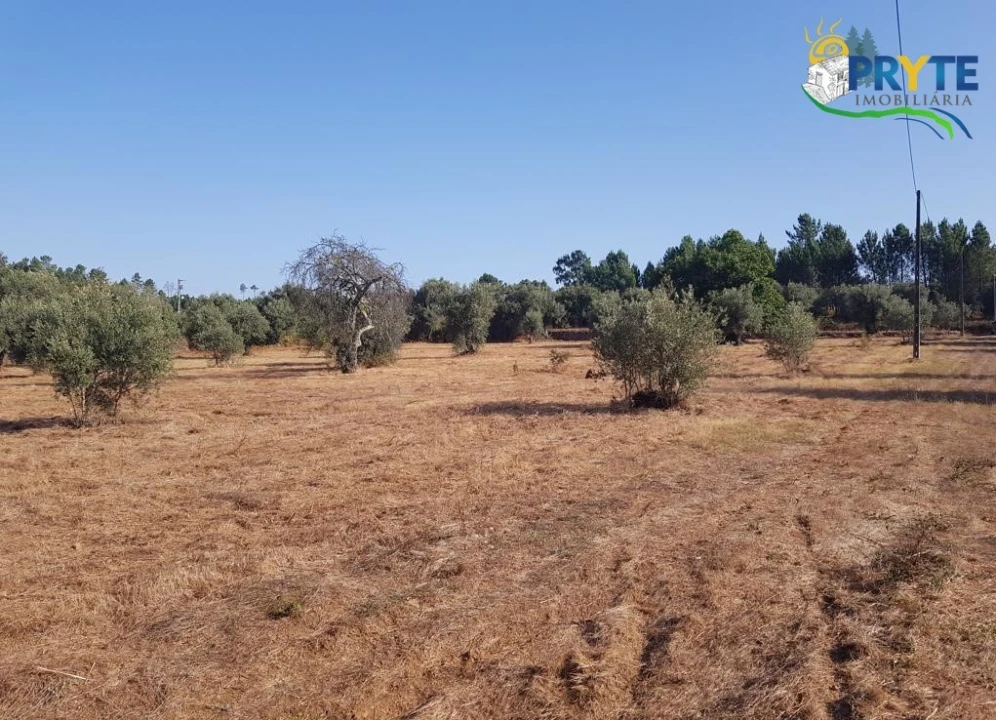 Terreno para Venda em Sertã Foto 15