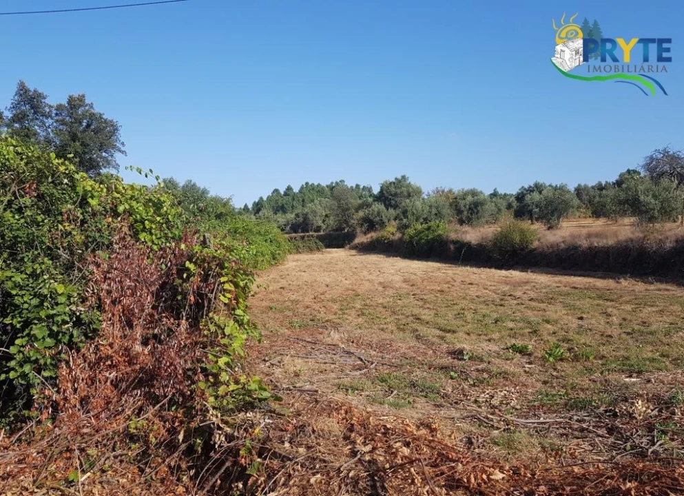 Terreno para Venda em Sertã Foto 16