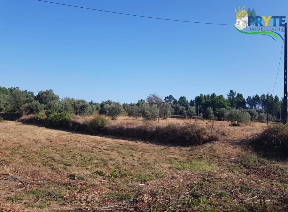 Terreno para Venda em Sertã Foto 17