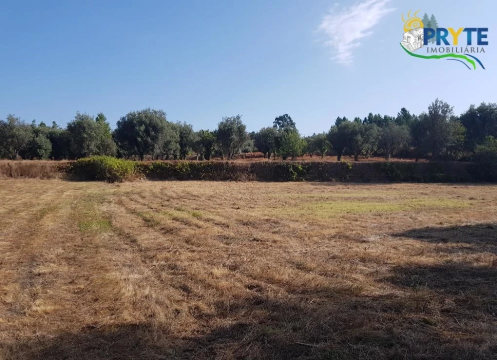 Terreno para Venda em Sertã Foto 21