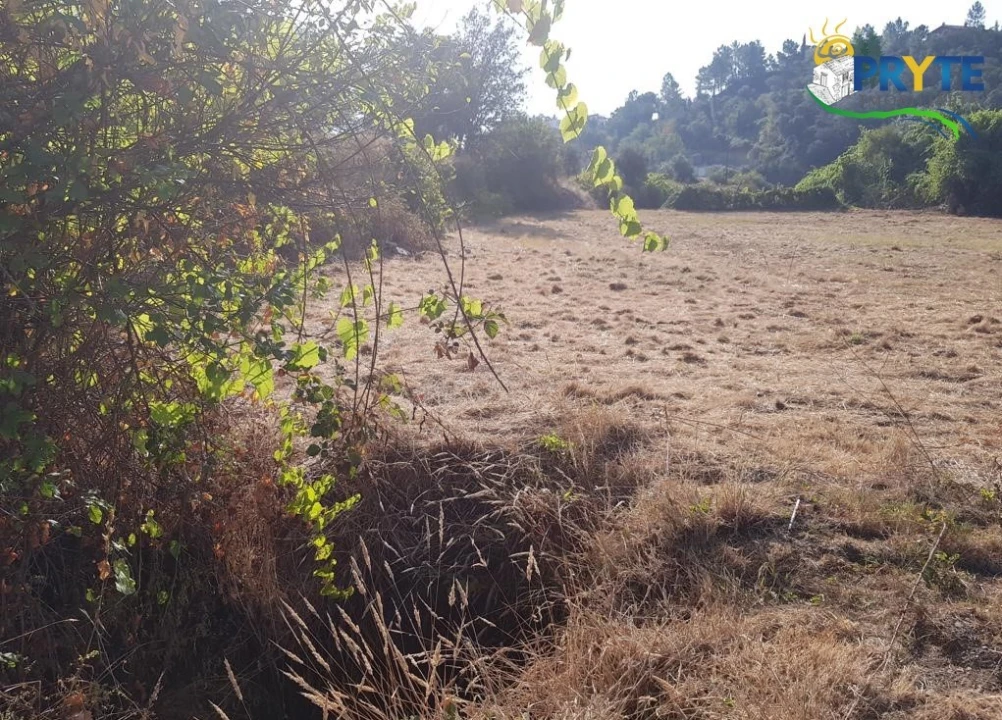 Terreno para Venda em Sertã Foto 22