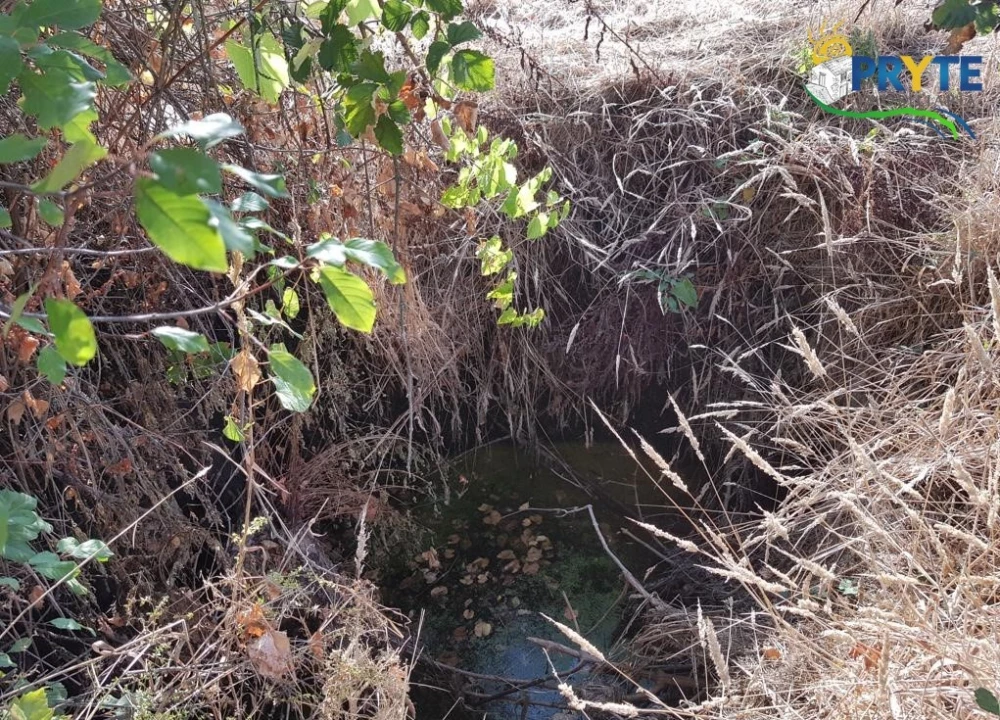 Terreno para Venda em Sertã Foto 23