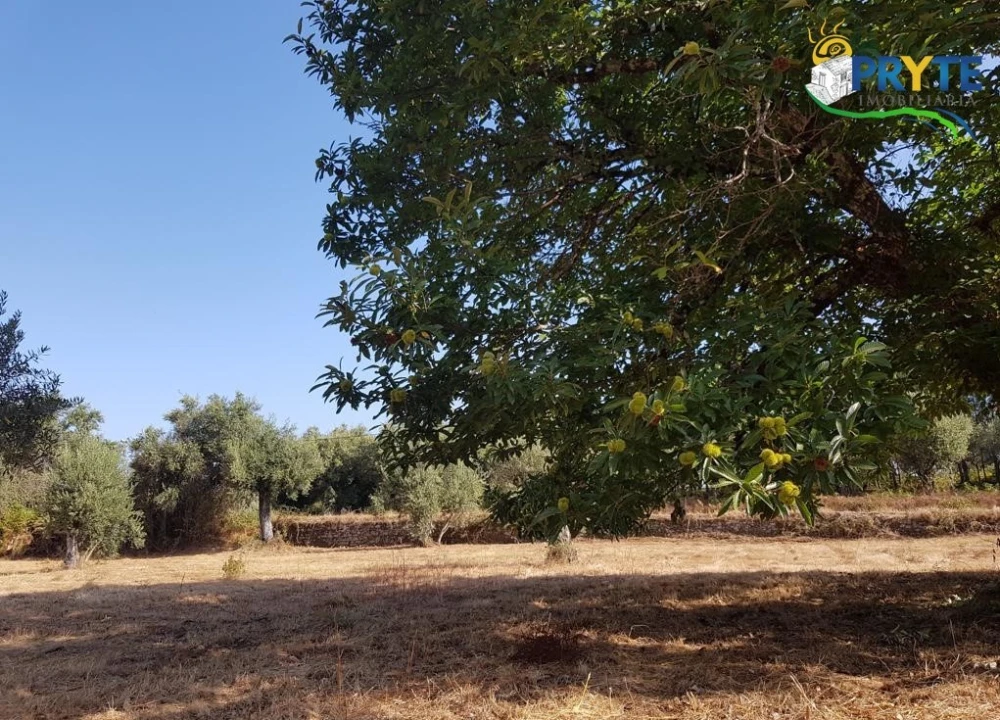 Terreno para Venda em Sertã Foto 24