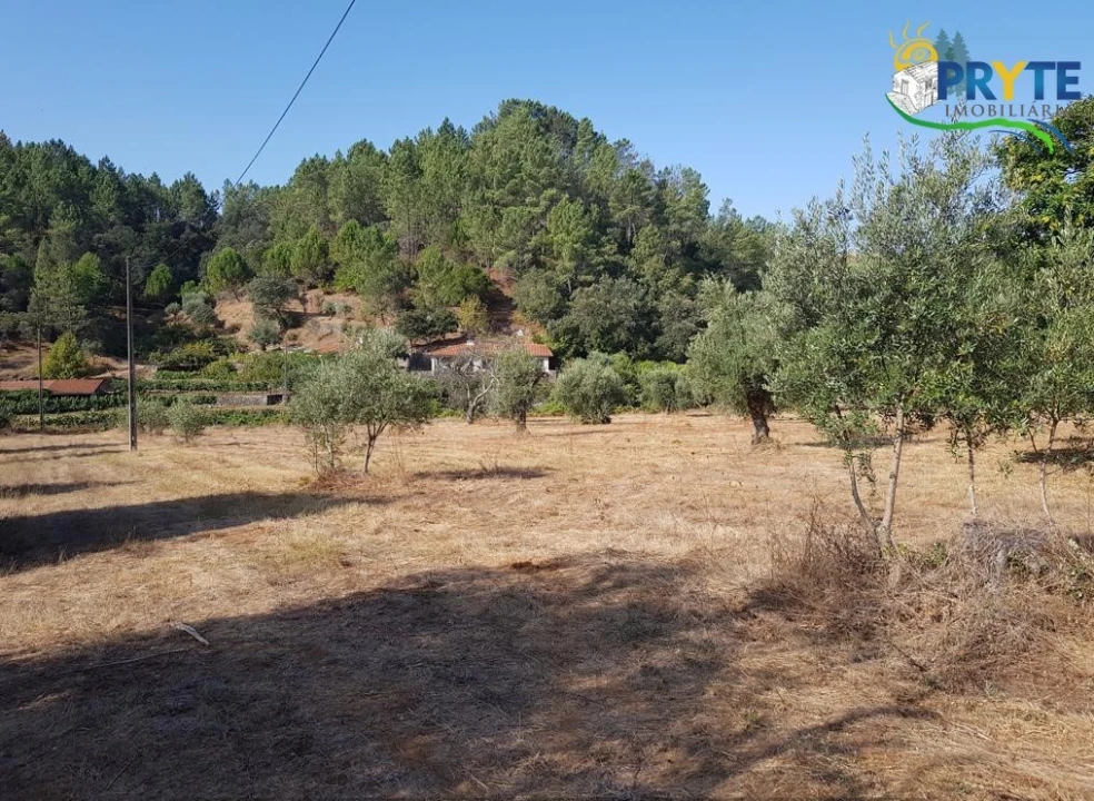 Terreno para Venda em Sertã Foto 25