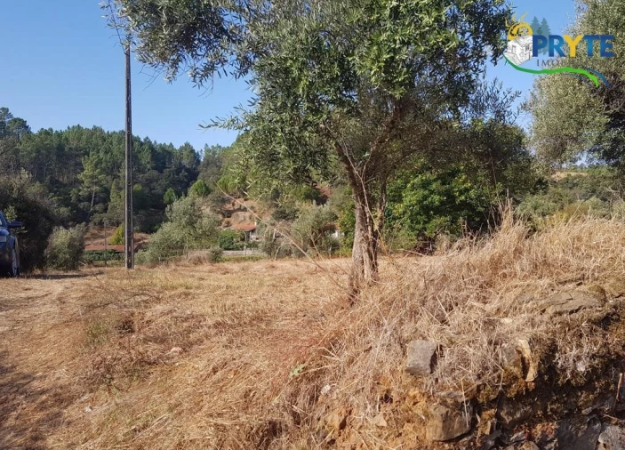 Terreno para Venda em Sertã Foto 2