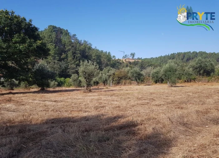 Terreno para Venda em Sertã Foto 4