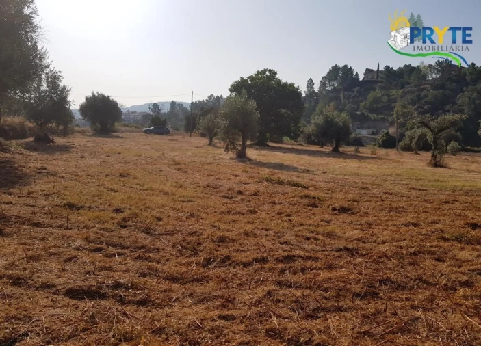 Terreno para Venda em Sertã Foto 5