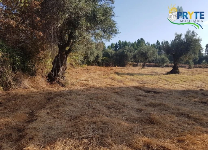 Terreno para Venda em Sertã Foto 7