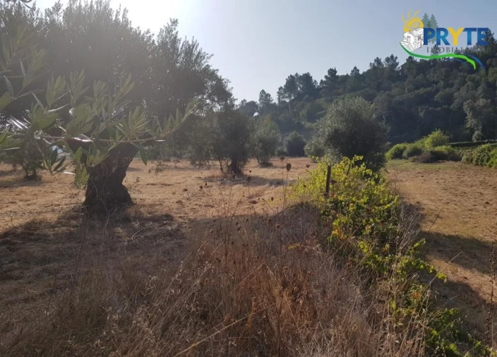 Terreno para Venda em Sertã Foto 9