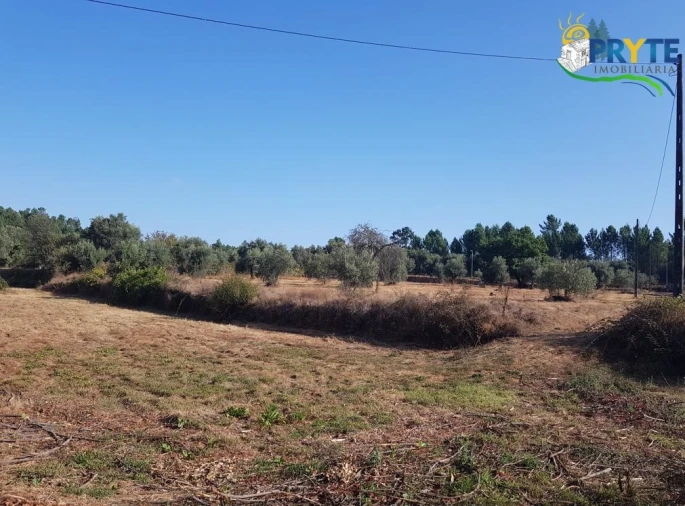 Terreno para Venda em Sertã Foto 17