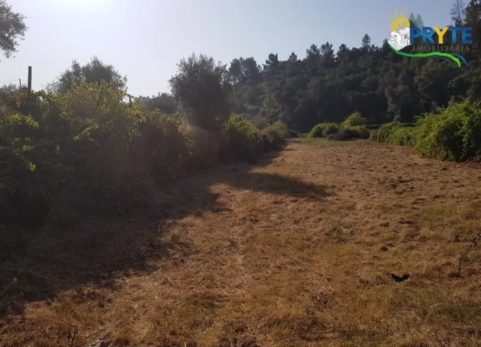 Terreno para Venda em Sertã Foto 18