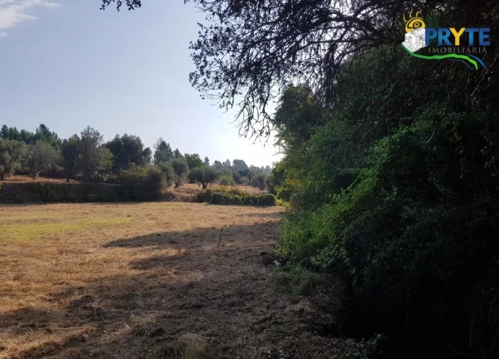 Terreno para Venda em Sertã Foto 20