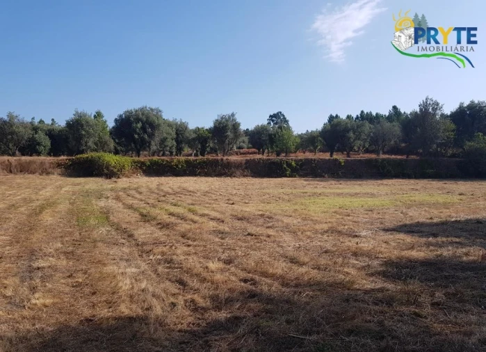 Terreno para Venda em Sertã Foto 21