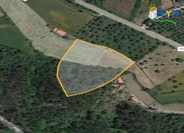 Terreno para Venda em Sertã Planta 1