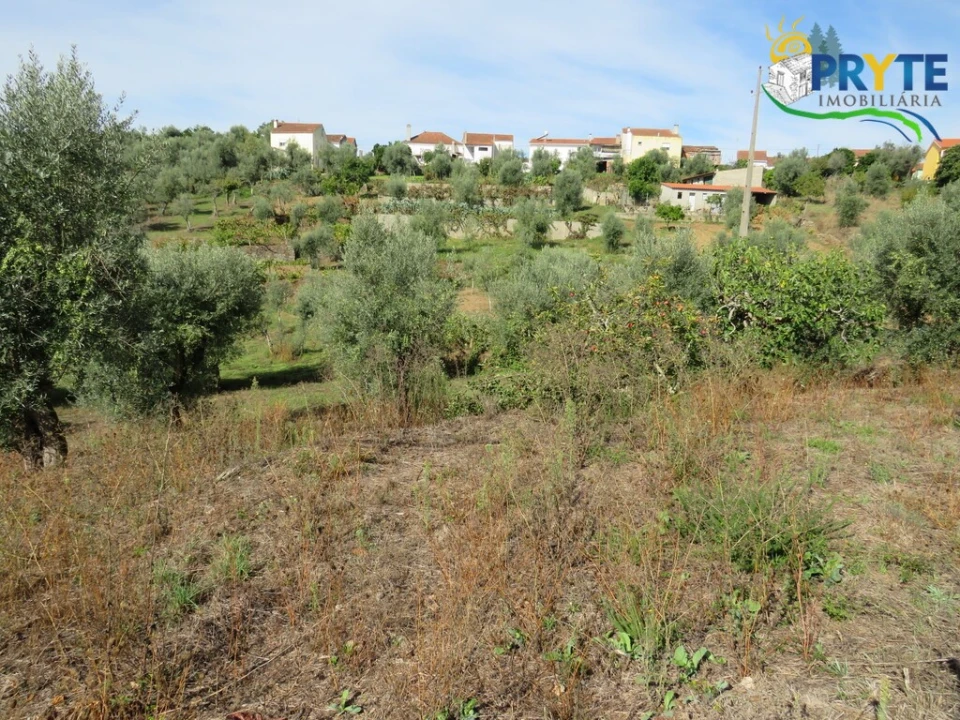 Terreno para Venda em Sertã Foto 2